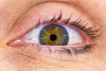 Closeup macro shot of a human eye with green and brown iris with surrounding mature skin.