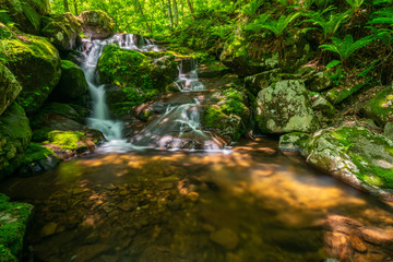 新緑の宇津江四十八滝