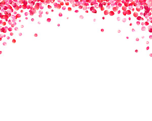 White background with pink rose petals