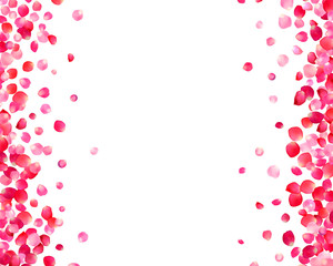 White background with pink rose petals