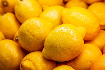 fresh yellow lemons, fresh fruits taken from the tree. Good for juices and refreshments.