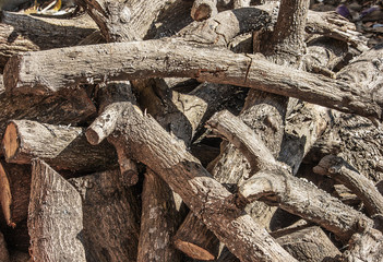 Rod pile for firewood.