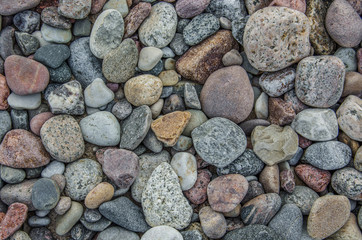 STNOES - Still life on the sea beach