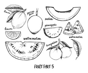Hand drawn vector illustration - Collection of tropical and exotic Fruits. Healthy food elements. Pear, watermelon, pineapple, lemon etc. Perfect for menu, packing, advertising, cooking book.