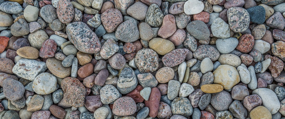 STNOES - Still life on the sea beach