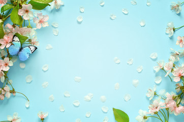 Beautiful spring nature background with butterfly, lovely blossom, petal a on turquoise blue background , top view, frame. Springtime concept. - obrazy, fototapety, plakaty