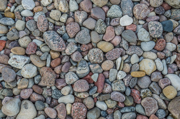 STNOES - Still life on the sea beach