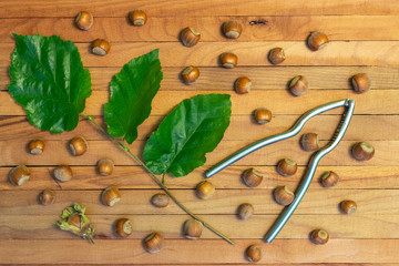 Top view of hazelnuts with a nutcracker and leaves on wooden background.