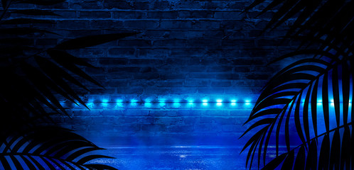 Background of the dark room, tunnel, corridor, neon light, lamps, tropical leaves. Abstract background with new light.