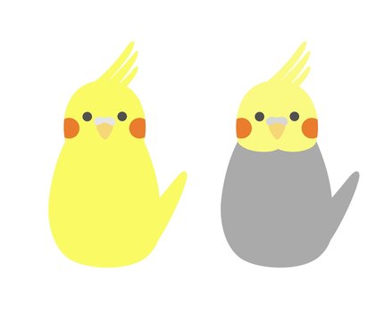 Pair of small simple parrot. Cute colorful cockatiels. Vector illustration.