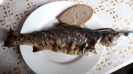 trout  grilled