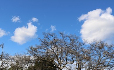 風景　空　田舎　春　栃木