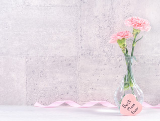 Mothers day handmade giftbox surprise wishes photography - Beautiful blooming carnations with pink ribbon box isolated on gray wallpaper design, close up, copy space