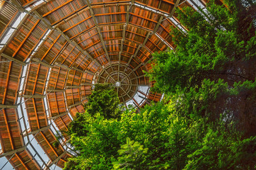 View of Baumwipfelpad from inside