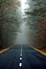 zamglona droga  © ukasz