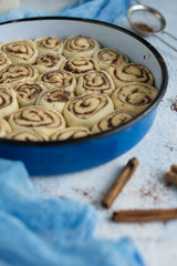 Cinnamon rolls ready to be baked