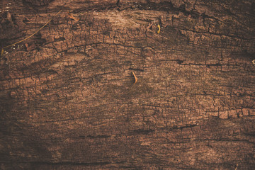 Fototapeta premium wood texture background