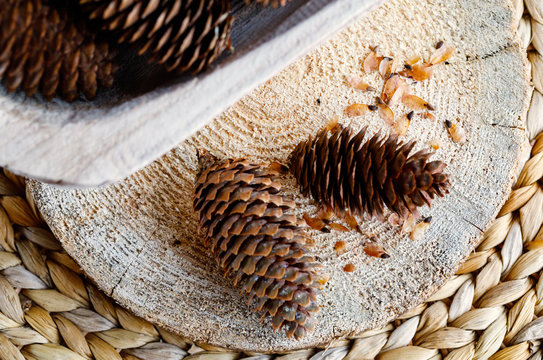 Cones with seeds of the European fir-tree in a wooden bowl. ready photo background. Wattled table.