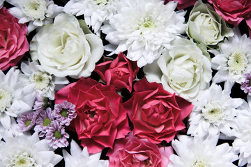 Beautiful floral background with rose and white chrysanthemum