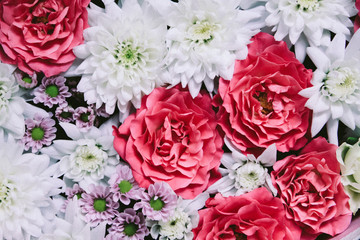 Beautiful floral background with rose and white chrysanthemum
