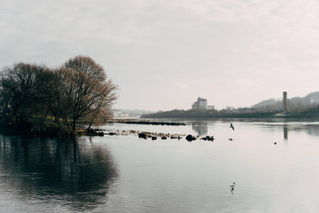 River panorama in winter