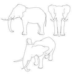 Set with the outline of an elephant. Front, side, isometric view. Vector illustration