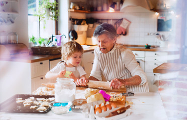 Senior grandmother with small toddler boy making cakes at home.