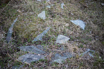 Broken glass on grass