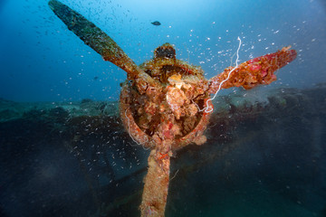 WWII Bomber Wreck underwater with propeller an scuba diver, near Honiara, Solomons