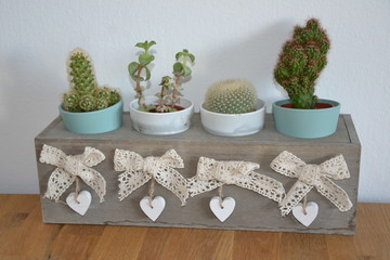 Blume Pflanze Natur © Timo