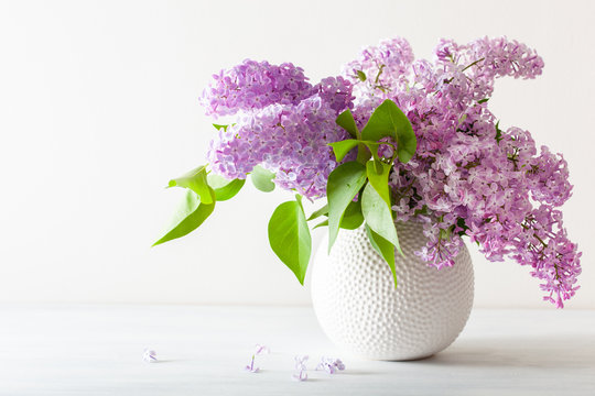 beautiful lilac flowers in vase on white background