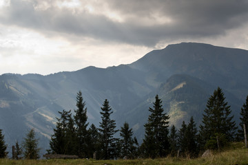 Naklejka premium landscape