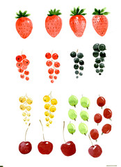 Set of berries: strawberry, black, red, white currant, cherry, gooseberry. Watercolor illustration isolated on white background.