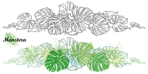 Set with outline tropical Monstera or Swiss cheese plant leaf bunch in black and green isolated on white background. - obrazy, fototapety, plakaty