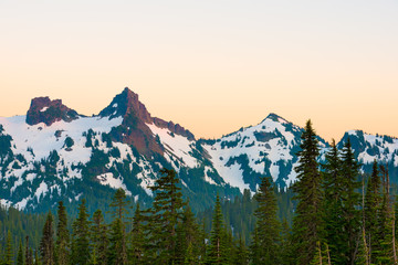 Obraz premium Paradise area at Mount Rainier National Park, Washington State, USA