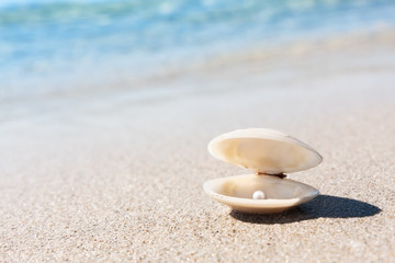 Fototapeta na wymiar Sea shell with pink pearl on the sandy beach
