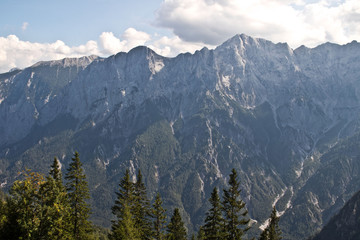 Obraz premium landscape