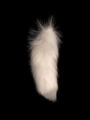 White Fox Tail on black background