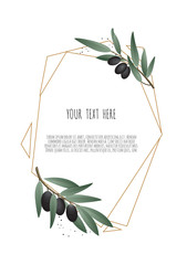 Olive branch. Design template Vector illustration. Design template.