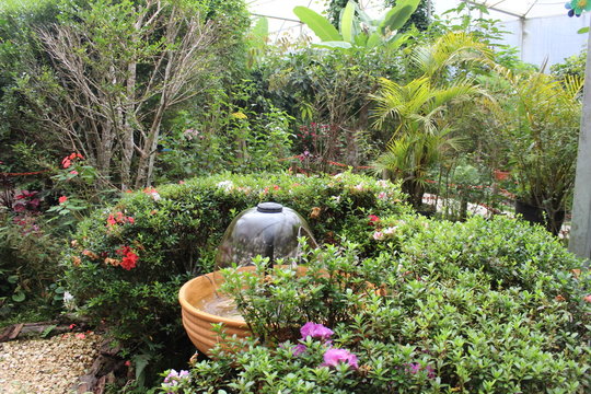 Imagem de natureza e animais (&aacute;rvores, cascatas, caminhos, parques)