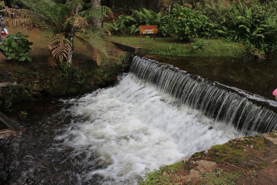 Imagem de natureza e animais (&aacute;rvores, cascatas, caminhos, parques)