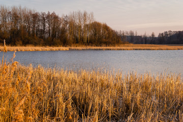 Poranek nad stawami. Stawy Dojlidzkie. Kolorowy i słoneczny  poranek