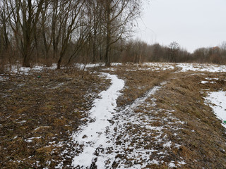 the beginning of spring. bush thickets in a meadow with thawed patches.