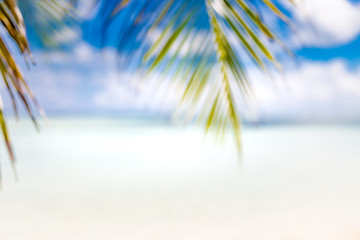 Fototapeta na wymiar Green nature palm leaf on blur tropical beach with bokeh sun light abstract background. Copy space of outdoor summer vacation and business travel concept