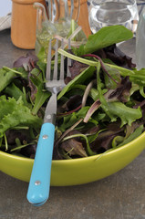 Mélange de salades dans une assiette 