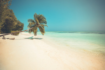 Swing hang from coconut palm tree over summer beach sea background. Idyllic exotic tropical beach landscape, vacation and holiday concept