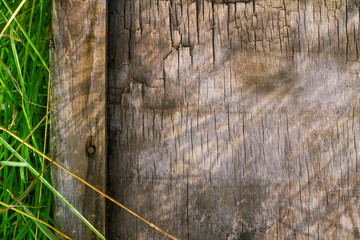 Old wooden Board and green grass