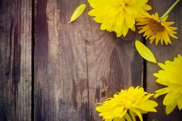 Bright yellow flowers on wooden background