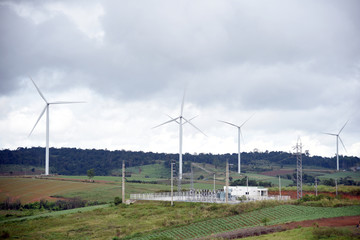 Windmills for renewable electric energy production.