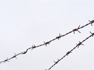 Fototapeta na wymiar high fence with barbed wire on a white background.